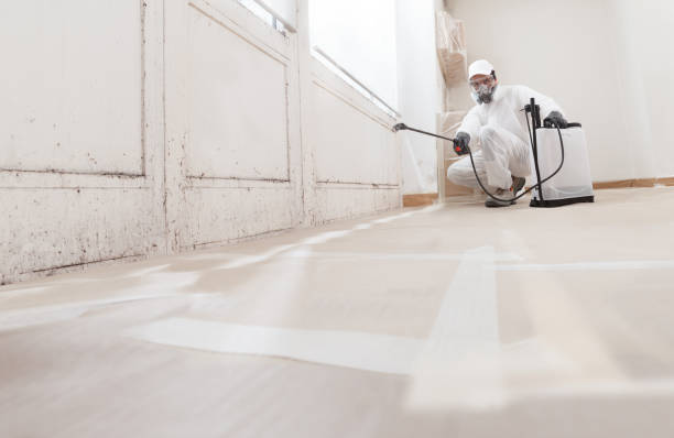 24/7 Emergency Attic Mold Removal experts in Garland, TX